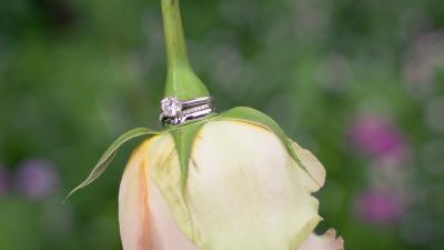 wedding-rings-2291615_1920